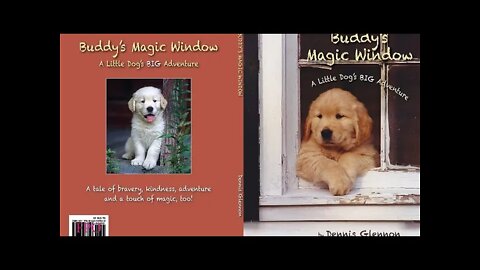 AMAZING STORY ABOUT AMAZING ANIMALS BUDDY'S MAGIC WINDOW BY DENNIS GLENNON