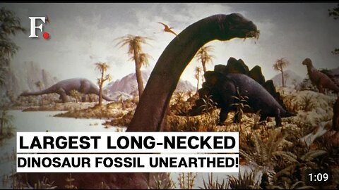 Watch: Argentine Scientists Unearth “One of the Largest” Long-Necked Dinosaur Fossil
