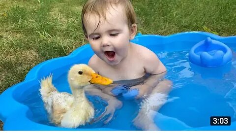 Funny Baby Reaction to Duckling in the Pool