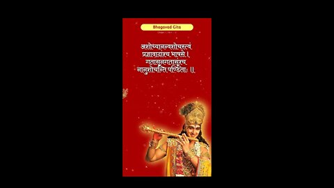 SRIMAD BHAGAVAD GITA | भगवद गीता | ভাগবত গীতা |Chapter 2 Verse 11