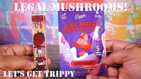 Legal Mushrooms?!?! Purple Amanita Mushroom Gummy Review!
