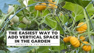 EASY (& CHEAP!) way to ADD VERTICAL GARDENING SPACE: Growing in the Garden