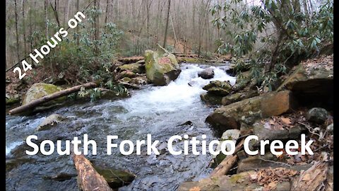 24 Hours on South Fork Citico Creek