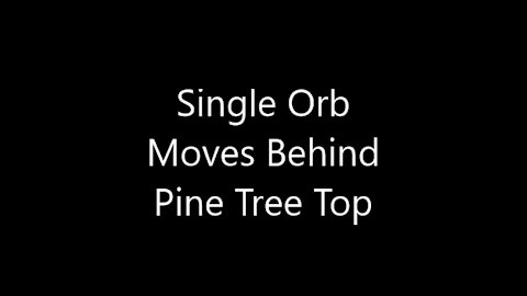 Single Orb Moves Behind Tree Top