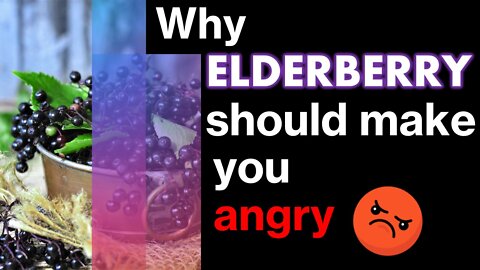 Why Elderberry should make you angry!