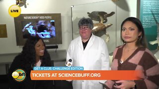 Fun things happening this winter at the Buffalo Museum of Science - Part 2