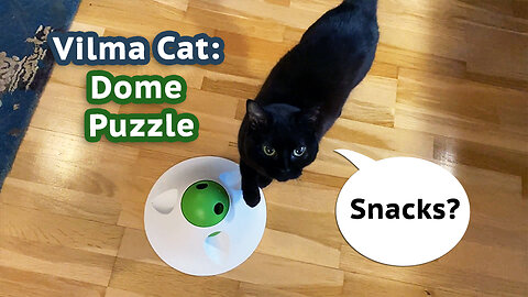 Vilma Cat Solves a Dome Puzzle