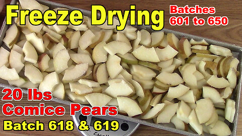 Freeze Drying 30 lbs of Harry & David Gift Pears - Batch 618 & 619
