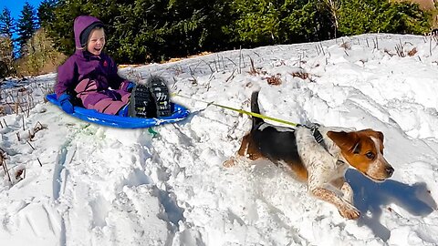 Winter Camping and Sledding With our Dogs in the Snow - Overnight in Bushcraft Log Cabin