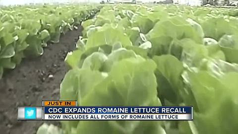 Latest E. coli outbreak warning expands to all romaine lettuce: 'Throw it away,' CDC says