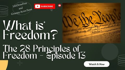 What is Freedom? 28 Principles of Freedom - Episode 13