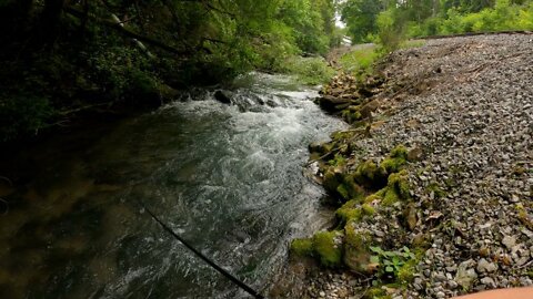 Small stream trout fishing