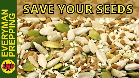Save Your Seeds - Be Your Own Seed Supplier. There Bill Be Seed Shortages.