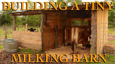 Building a Tiny Milking Barn - The FHC Show, ep 33