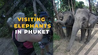 Visiting an Elephant Sanctuary in Phuket, Thailand