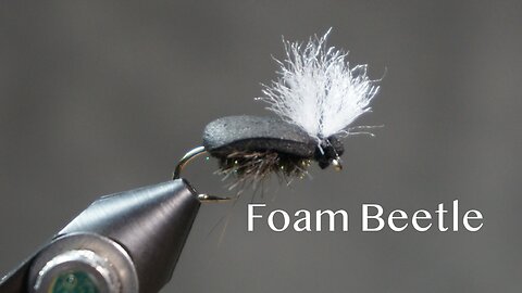 Foam Beetle