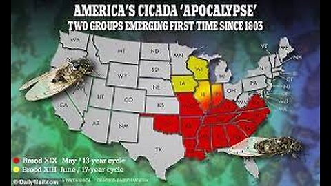 DEVASTATING BREAKING NEWS! AMERICA IS DOOMED! MAJOR GEOLOGICAL & BIBLICAL EVENTS UNFOLD! 8TH APRIL YELLOWSTONE PARK, MADRID FAULT LINE AND CANADA BLOW! PLAGUE OF CICADAS SHOE MAP OF AREAS DESTINED TO DISAPPEAR UNDER THE SEA! PRAY PRAY & BRACE! GOD