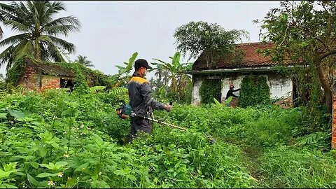 Clean up the abandoned house, cut the overgrown weeds | Amazing transformation