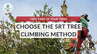 Advantages of Single Rope Technique SRT | McCullough Tree Service In Orlando, Florida