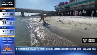 Madeira Beach businesses hold "Save John's Pass" rally, bringing attention to sand blocking issue