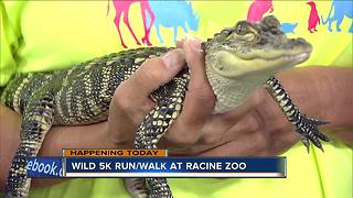 Mom's get in for free at Racine Zoo