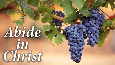 The Need to Abide in Christ- Sister Jennifer Eytcheson