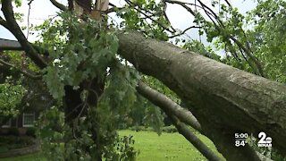 National Weather Service inspects for signs of tornado after storm batters part of Baltimore County