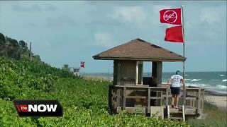 Preliminary results: Red tide in Palm Beach County waters