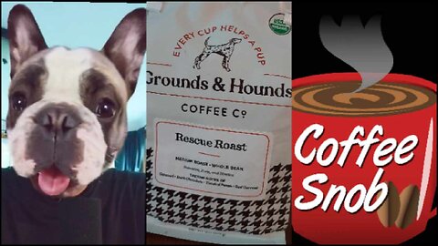 Grounds & Hounds: Rescue Roast Review