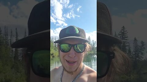 Exploring the local Beaver 🦫 Dam w/ the puppy in Griffin Woods 1 smoke free summer day in Alberta0