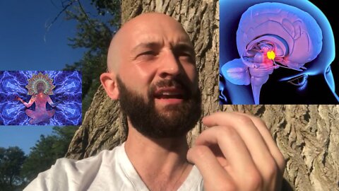 Pineal Gland Decalcification Discussion!🧠