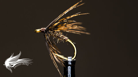 Tying The August Brown - Dressed Irons