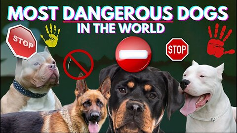 The 10 Most Dangerous Dog Breeds in 2023