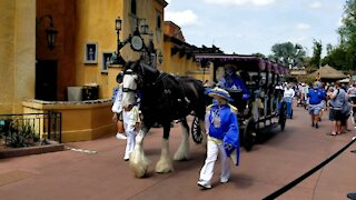 Epcot/Disney Princess Parade