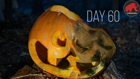 This Pumpkin Decomposes in Epic Timelapse