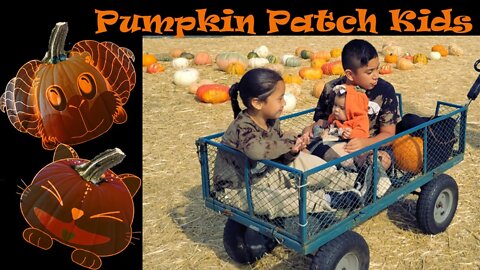 Halloween Pumpkin Patch Kids | Wollipop kids