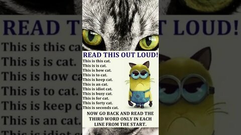 Minion Quote Read This Out Loud This is Cat #humour #cat