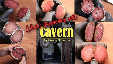 What's going on with Cavern | A Prototype Dry Curing Chamber