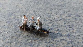 Centipede gives toys a ride