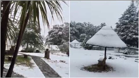 Snö faller i Sydafrika under sommaren