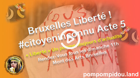 Bruxelles Liberté ! #citoyeninconnu​ Acte 5