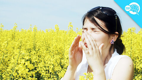 BrainStuff: Why Do Some People Sneeze In Sunlight?