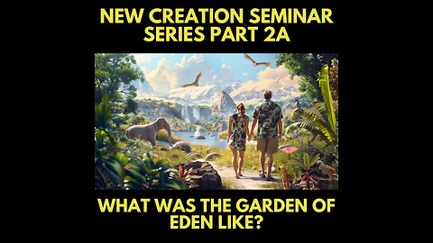 NCSS: Part 2 B: What was the original creation like?