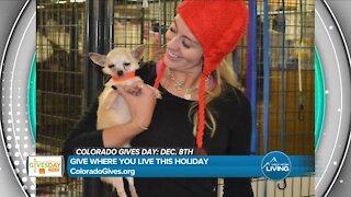 Colorado Gives Day Is Coming Up! // December 8th // ColoradoGives.org