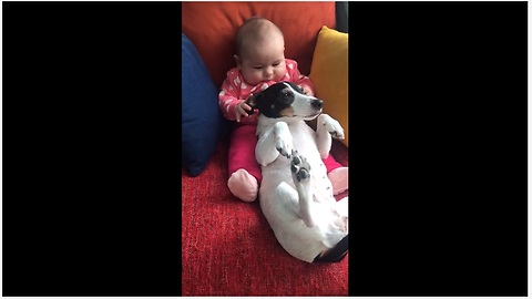 Adorable Baby Loves Tugging On Cute Doggy's Ears