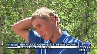Bear attacks camp staffer at Glacier View Ranch Christian retreat northwest of Boulder