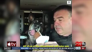 Check This Out: K9 cop gets heartwarming send off