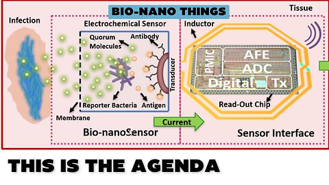 Internet of Bio-NanoThings Application for Early Detection and Mitigation of Infectious Diseases P2