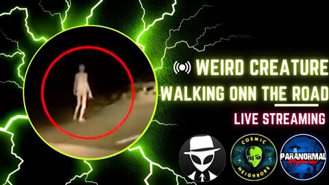 Weird Creature Waling on The Road