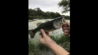 Catching Fish In A Neighborhood Trail System